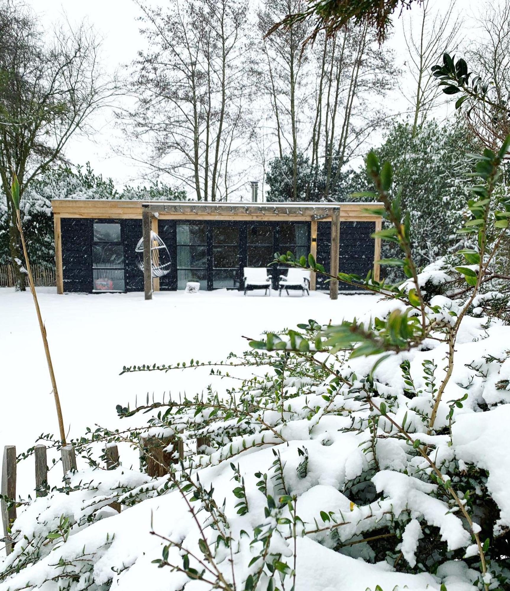 Hoogtij°D Bed & Breakfast Oostvoorne Exterior photo